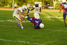 Enlarge photo 208