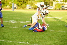 Enlarge photo 209