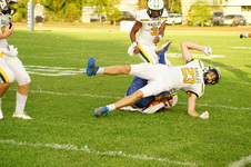Enlarge photo 211