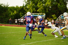 Enlarge photo 216