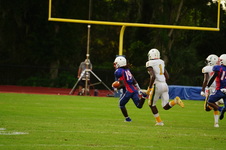 Enlarge photo 221