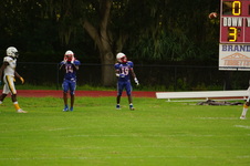 Enlarge photo 223
