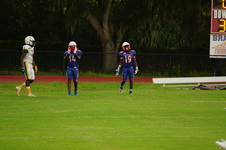 Enlarge photo 225