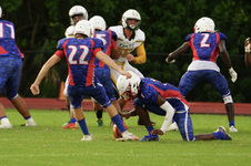 Enlarge photo 230