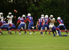 Enlarge photo 232