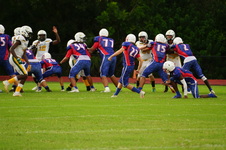 Enlarge photo 233
