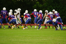 Enlarge photo 234