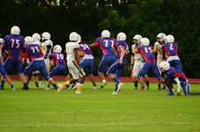 Enlarge photo 236