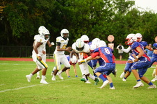 Enlarge photo 242