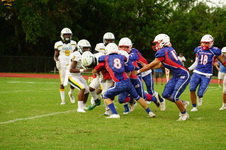 Enlarge photo 244