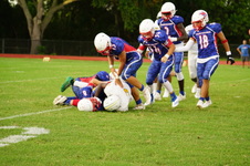 Enlarge photo 246