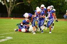 Enlarge photo 247