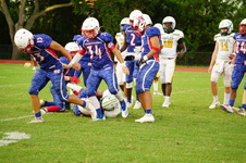 Enlarge photo 249