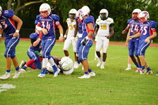 Enlarge photo 250