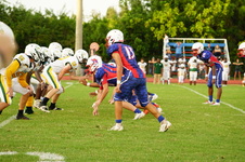 Enlarge photo 253