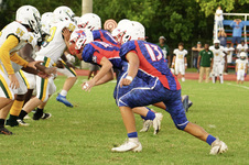 Enlarge photo 252