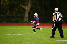 Enlarge photo 258