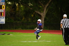 Enlarge photo 260