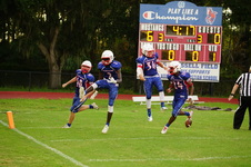 Enlarge photo 265