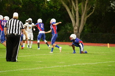Enlarge photo 276