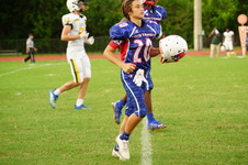 Enlarge photo 281