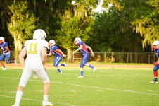 Enlarge photo 287