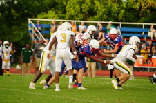 Enlarge photo 308