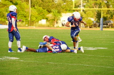 Enlarge photo 313