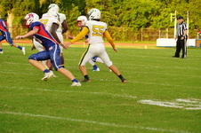 Enlarge photo 317