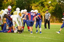 Enlarge photo 318