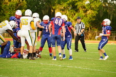 Enlarge photo 319