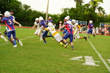 Enlarge photo 333