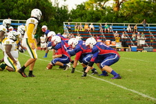 Enlarge photo 335