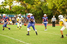 Enlarge photo 340