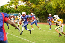 Enlarge photo 341