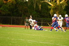 Enlarge photo 368