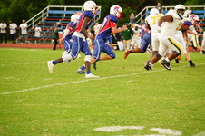 Enlarge photo 382