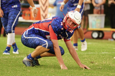Enlarge photo 387
