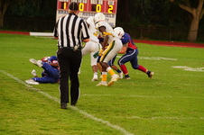 Enlarge photo 407