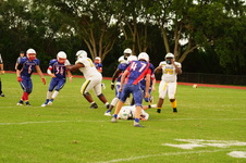 Enlarge photo 413