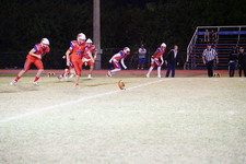 Enlarge photo 58