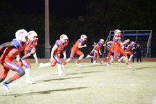 Enlarge photo 62
