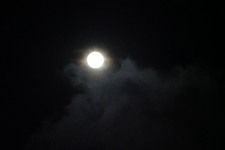 Enlarge photo 414