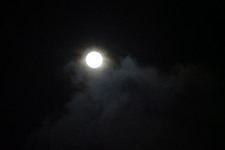 Enlarge photo 416