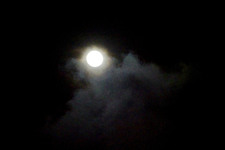 Enlarge photo 417