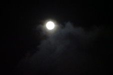 Enlarge photo 418