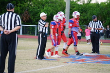 Enlarge photo 67