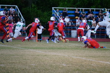 Enlarge photo 71