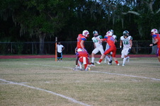 Enlarge photo 85