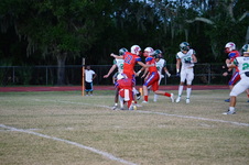 Enlarge photo 87